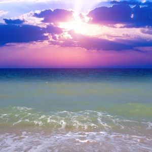 Meet your Posher, Jada